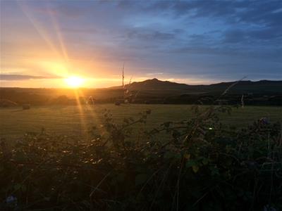 Picture 29